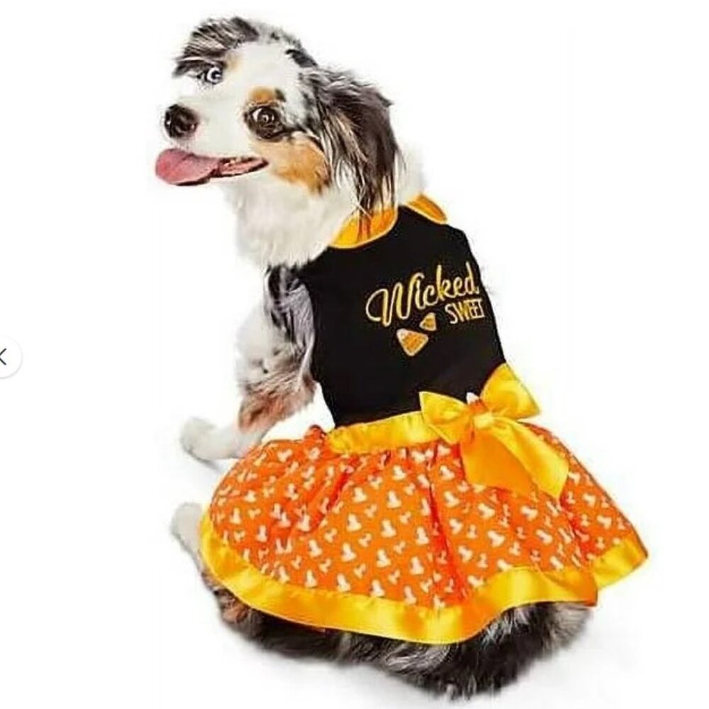 Dog Halloween Costume: Wicked Sweet, Medium